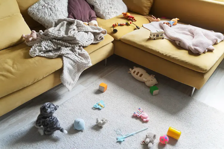 messy couch toys everywhere clutter
clutter blindness
