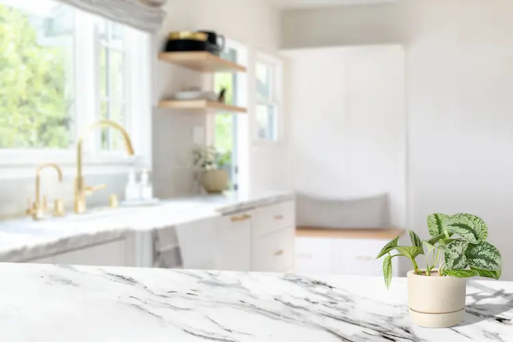 clean kitchen white