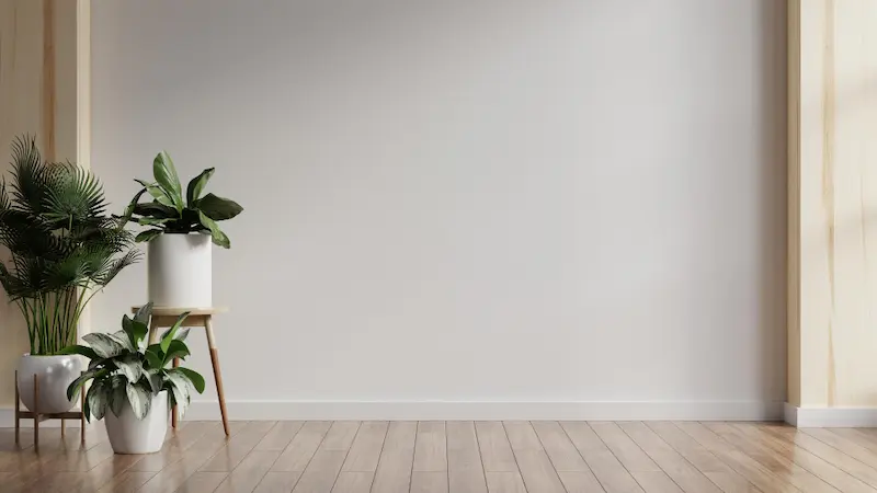 minimalist aesthetic room white walls plants
