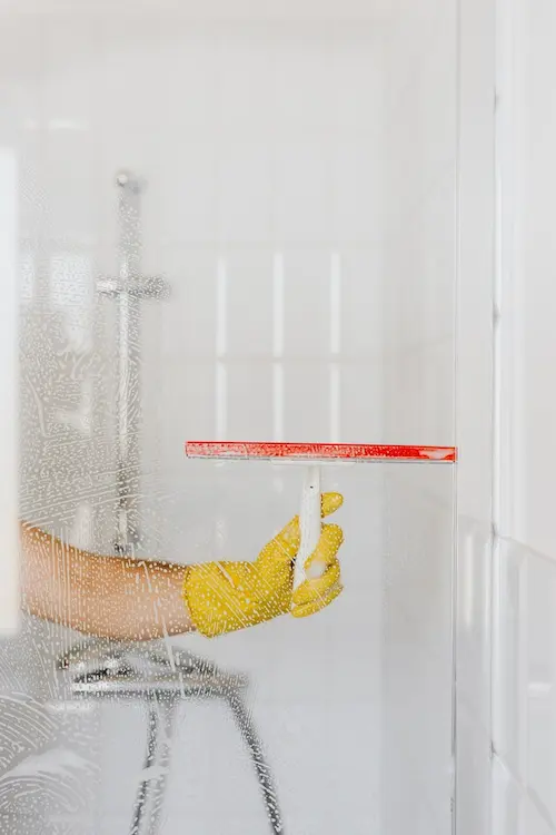 cleaning glass house cleaning 

daily house cleaning schedule