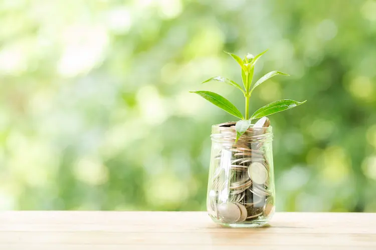 plant growing from coins in jar