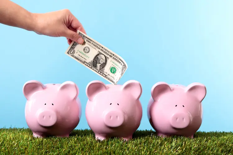 three pig money banks on grass saving money
