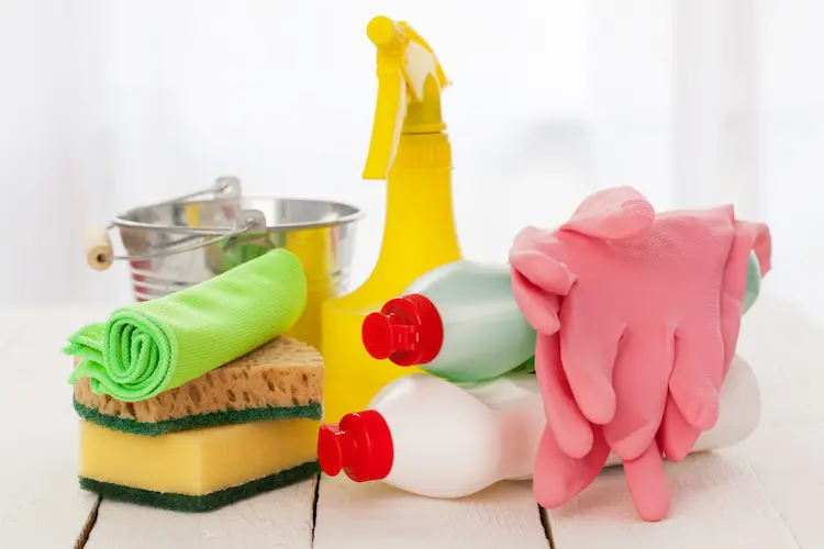 13+ Minimalist Cleaning Supplies Approved by a Pro!