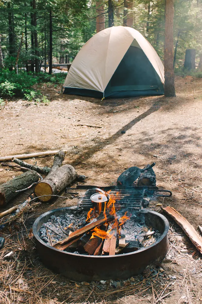 campfire forest
minimalist camping list
